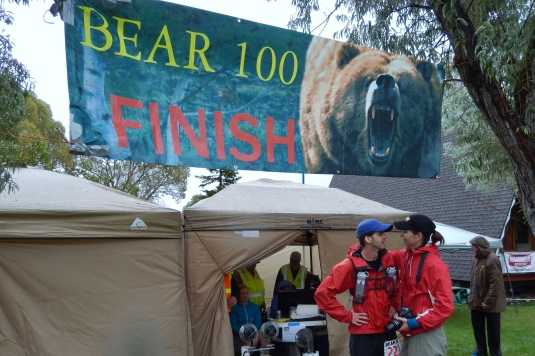 bear 100 113